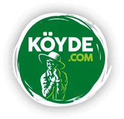 Artvin Kestane Balı: Doğadan Gelen Güç!