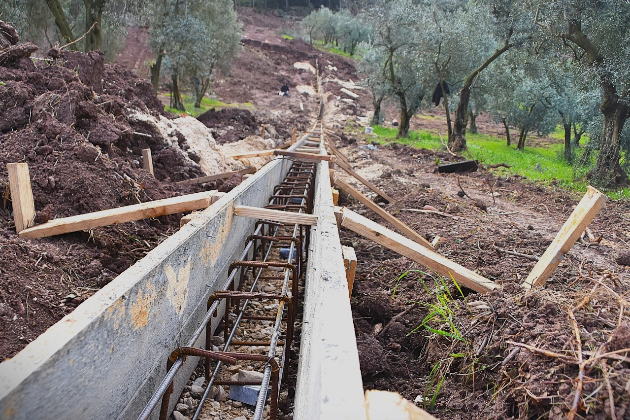 Patili canlar yeni yuvalarına kavuşuyor