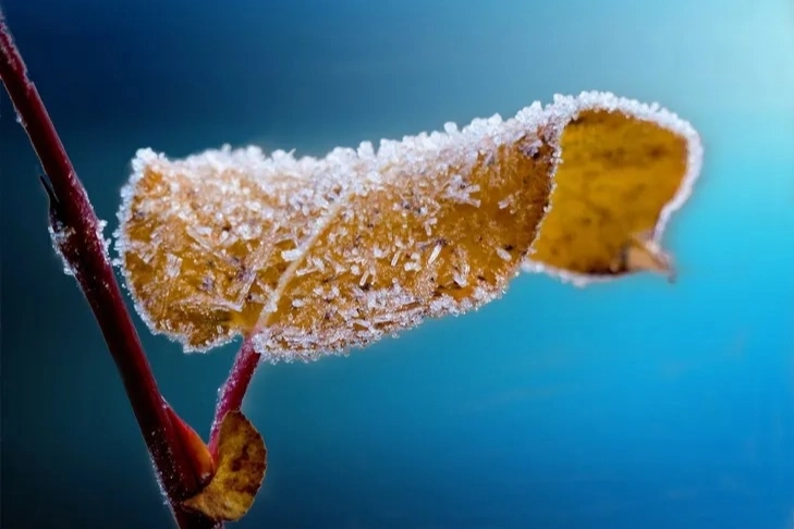 Ankara'dan 6 bin 500 üreticiye 'zirai don' desteği