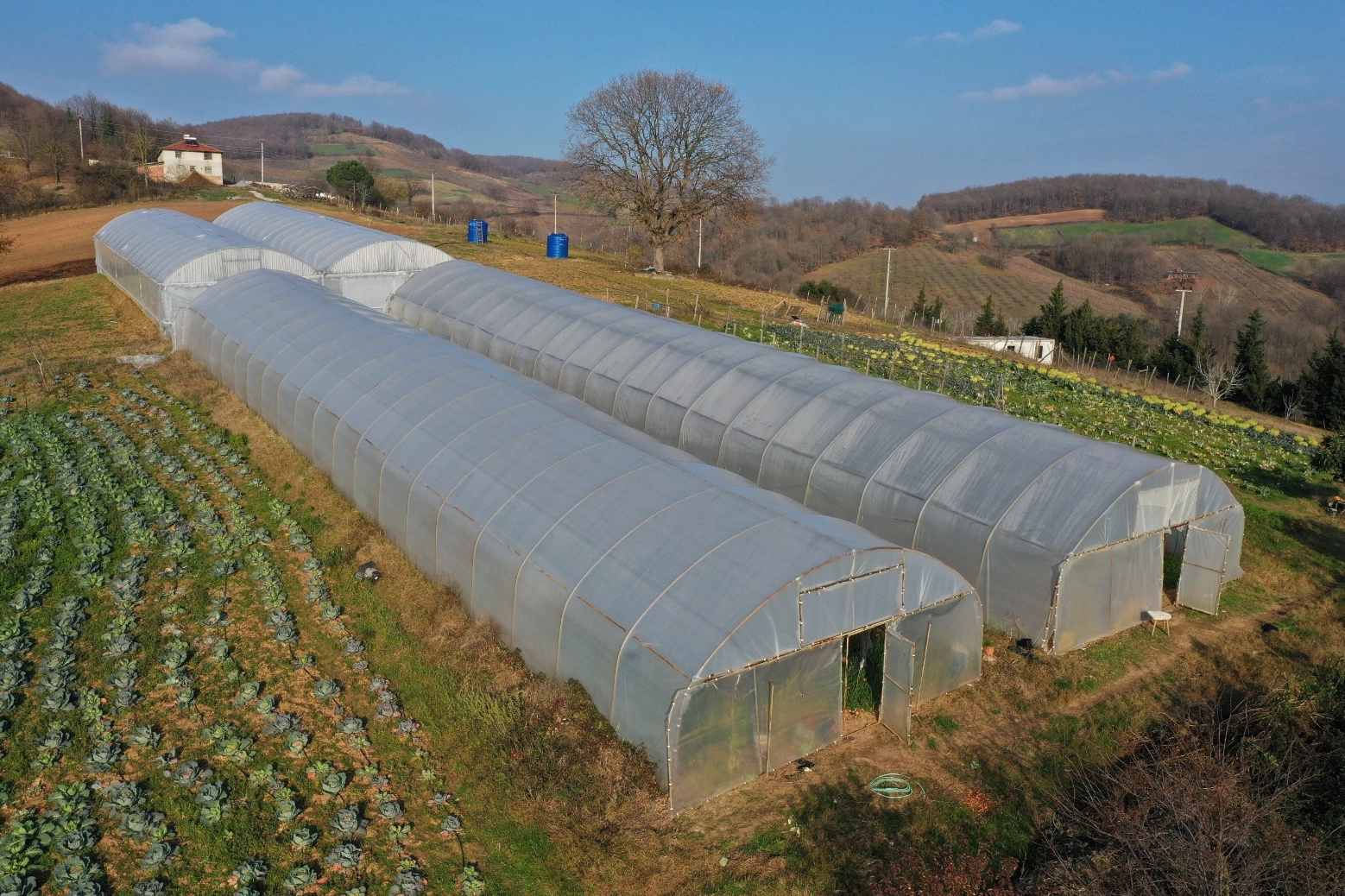 Kocaeli'den yüzde 50 hibeli sera desteği