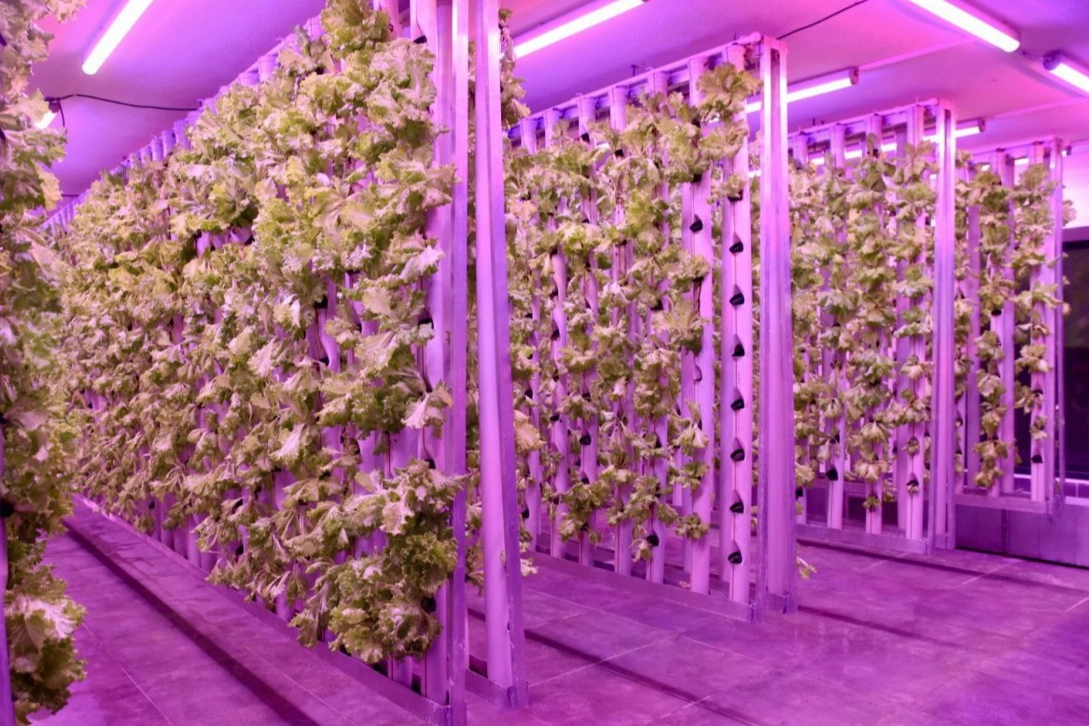 Ordu’da tarımda yeni dönem