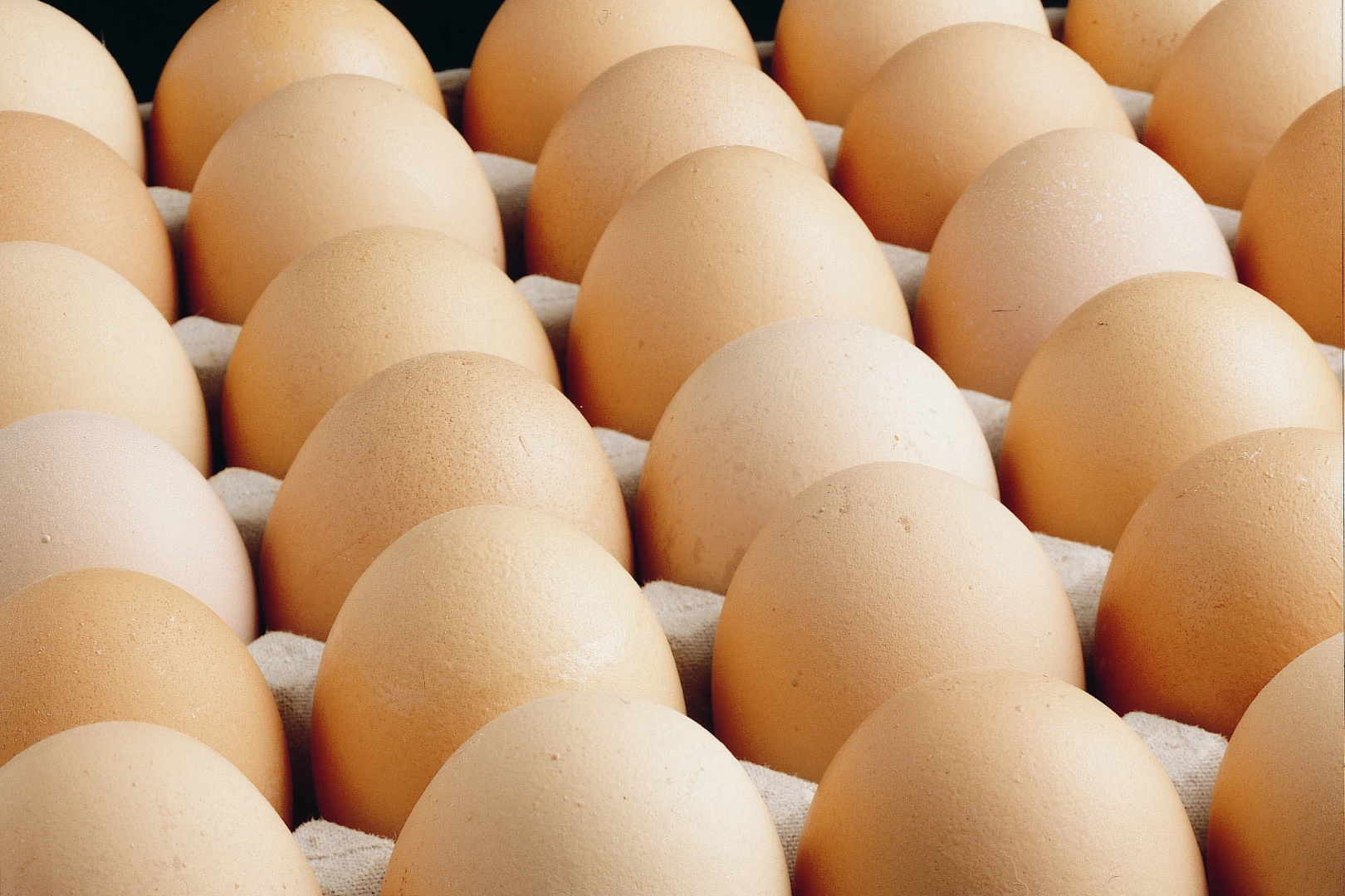 Ediz Ün: Yumurta üretimi son 8 yılın dibine vurdu