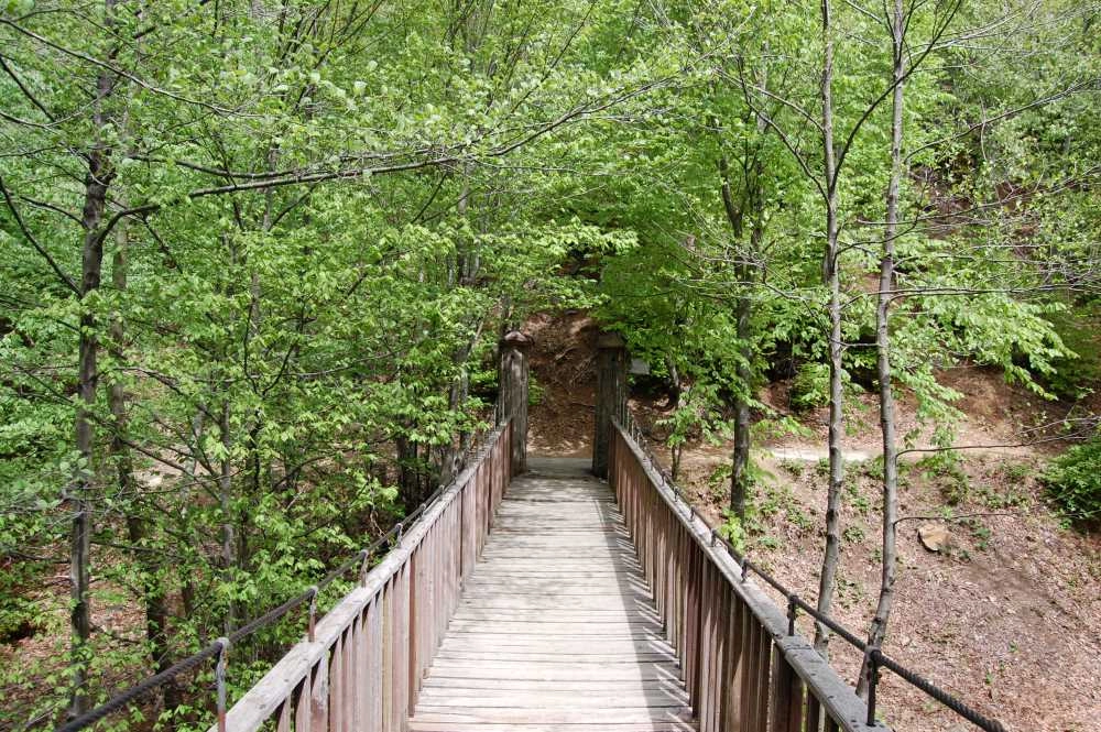 Yalova Valiliği ikinci bir emre kadar yasakladı!