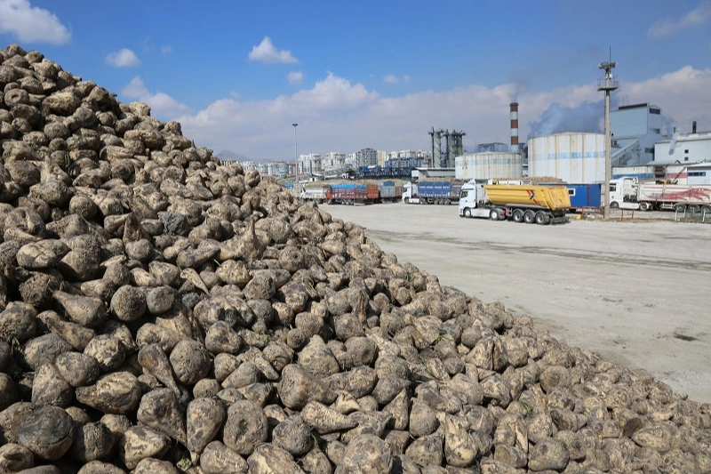 Konya Pancar Ekicileri bu yıl verimden memnun